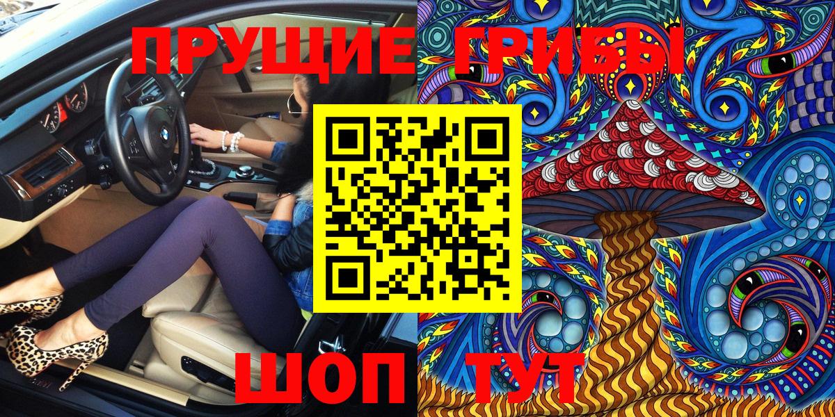 как найти   Вход с VPN  Ижевск  Галлюциногенные грибы Psilocybe  Псилоцибиновые грибы MAGIC MUSHROOMS 